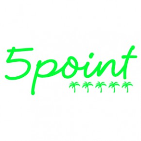 5 POINT FAIR !